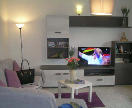 zona living